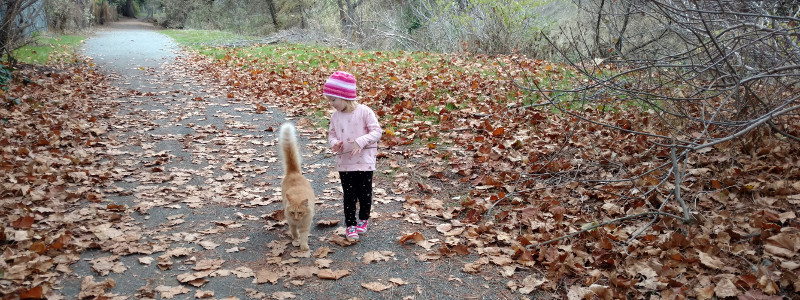 Simple Efforts Home Simple Efforts